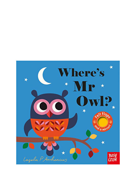 Where's Mr Owl? Çocuk Yabancı Dil Kitabı