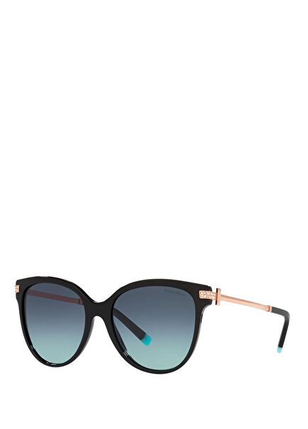 Black Women's Sunglasses