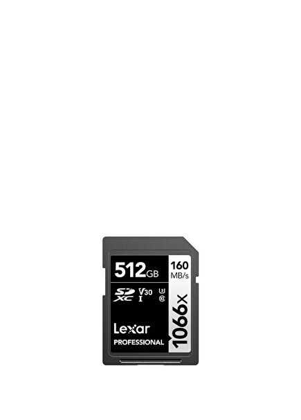 512GB SD 1066X 160MB/s Okuma 120MB/s Yazma Profesyonel Hafıza Kartı LSD1066512G-BNNNG