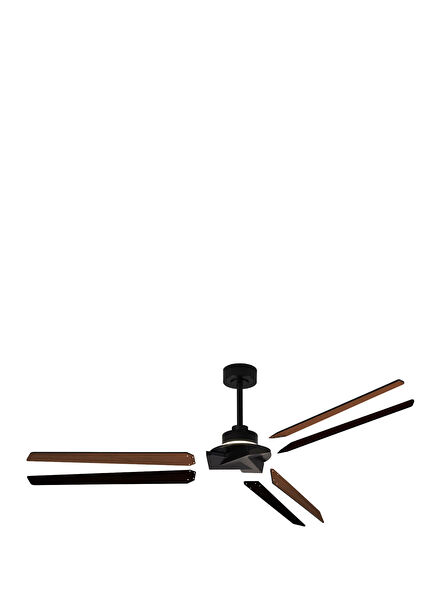 Brisa Dual Color Usable Fan