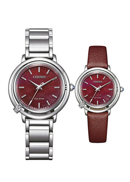 EM1090-78X Silver Unisex Watch with Replacement Strap