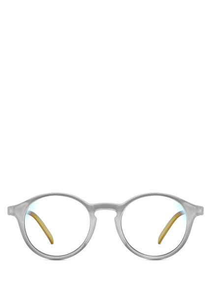 William 311AC Gri Unisex Güneş Gözlüğü