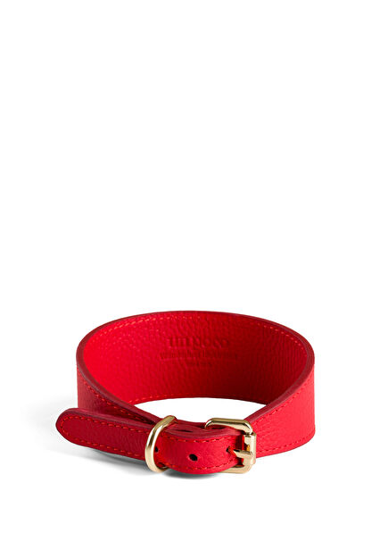 Red Leather Dog Neck Collar
