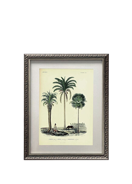 Palm Sketch No.3 Çerçeveli Baskı Tablo