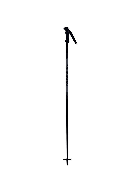 Tactic Children's Ski Pole
