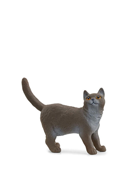 British Shorthair Kedi Hayvan Figür Oyuncak 13973 