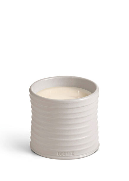 Oregon Medium 610 gr Candle