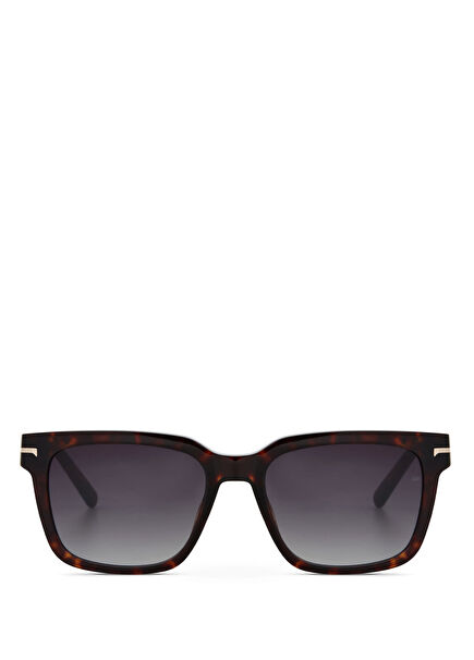 CR 80010 C2 Asetat Koyu Havana Erkek Güneş Gözlüğü