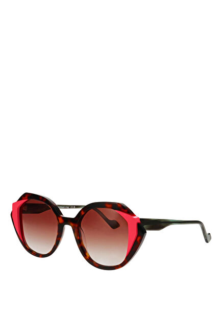 Stella1 Acetate Women's Sunglasses
