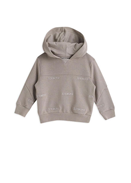 Stone Color Hooded Baby Boy Sweatshirt