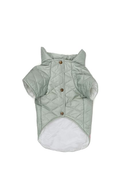Minty Green Puffer Küçük Irk Köpek Mont