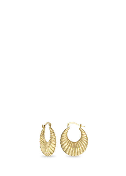 Midi Clam Ring 14 Karat Yellow Gold Women's Earrings