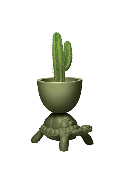 Turtle Carry Yeşil Saksı