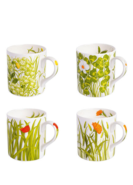 Freedom Fine Bone Porselen 4'lü Kupa Seti