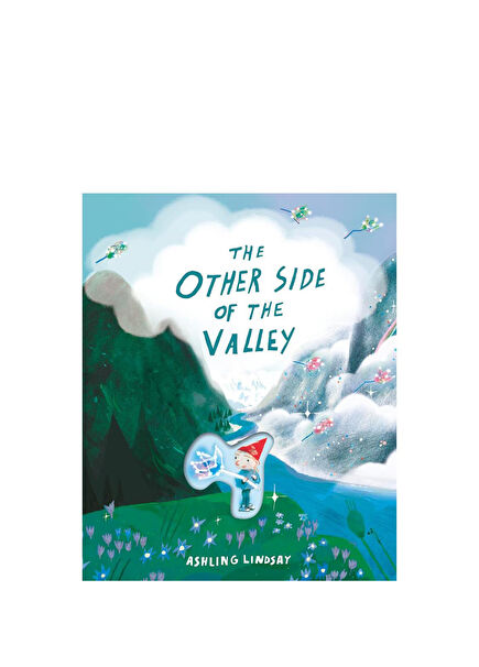 The Other Side of the Valley Children's Foreign Language Book