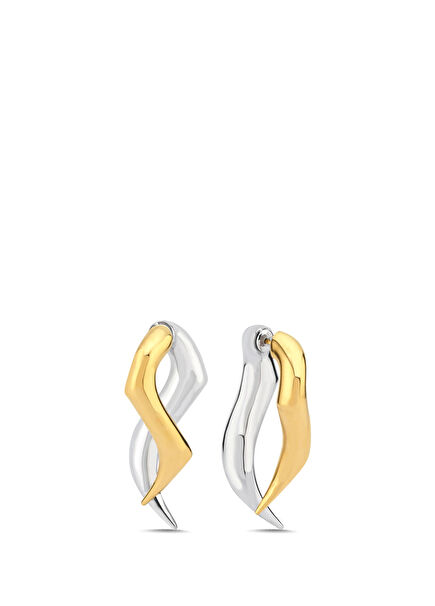 Rodeo Women's Silver Earrings