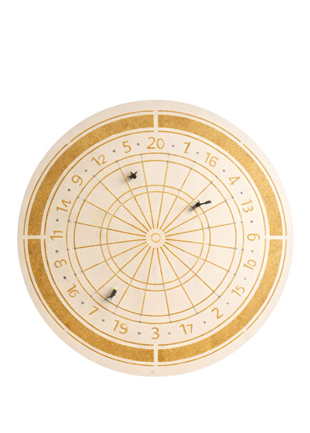 Natural Cream Magnetic Darts