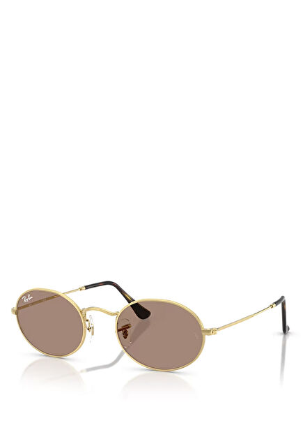 Gold Unisex Sunglasses