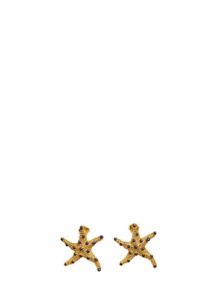 Deniz Yıldızı 925 Ayar Gümüş Kadın Küpe