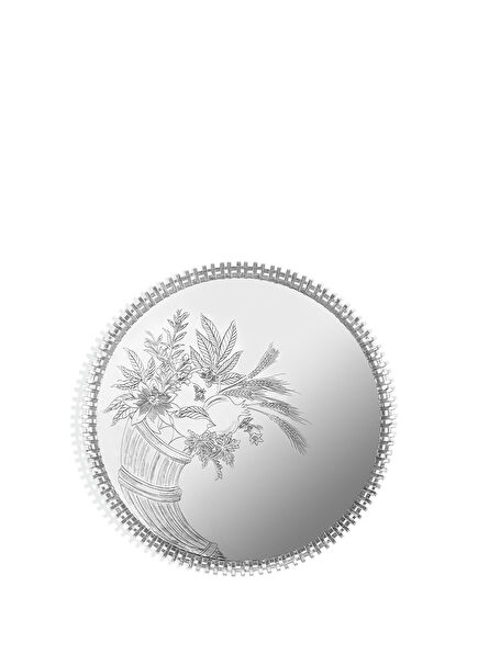 Tyke Cornucopia Silver Tray