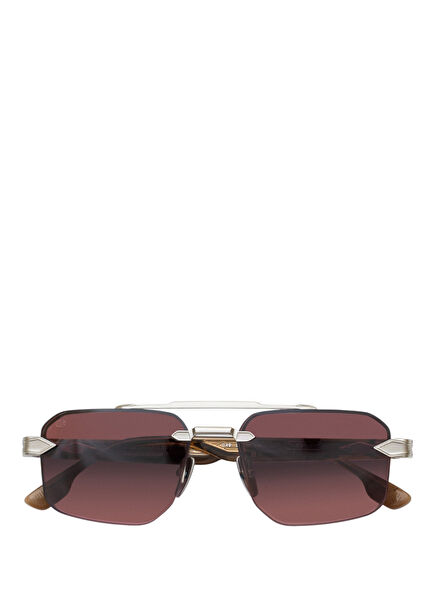 The Bright Silver Brown Unisex Sunglasses