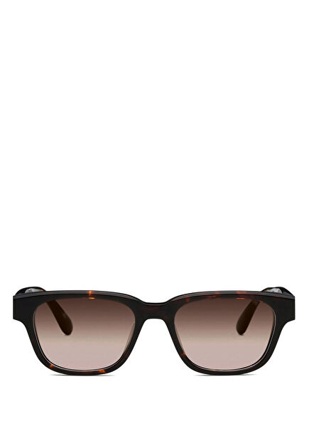 Aesthete Dark Havana Kahverengi Asetat Unisex Güneş Gözlüğü