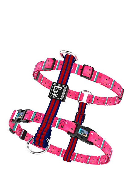 Ispet Watermelon Spider Model Dog Collar