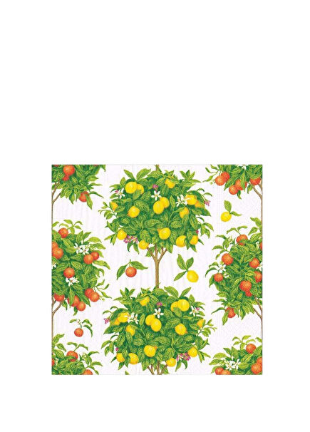 Citrus Topiaries Desenli 20'li Kağıt Peçete Seti