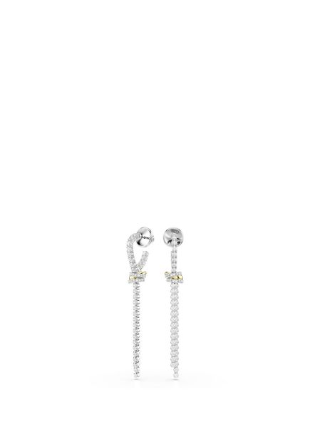Hyperbola Pe Long Quarter Women's Earrings