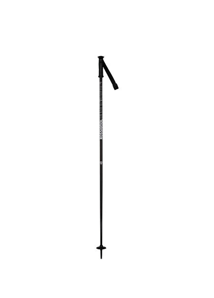 Electra Black Ski Poles