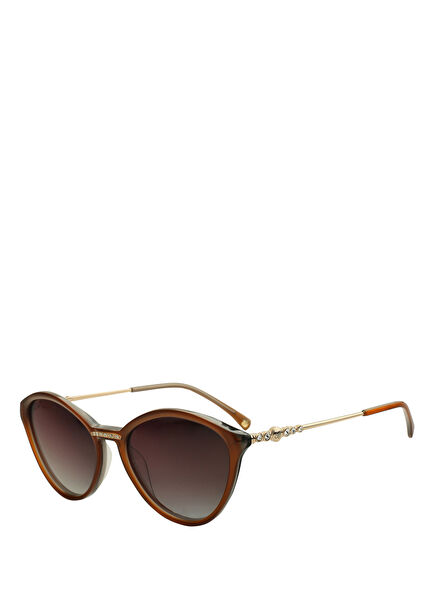 Bc 1120 C 4 Kahverengi Asetat Kadın Güneş Gözlüğü