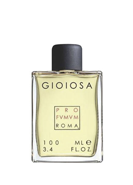 Gioiosa EDP 100 ml Erkek Parfüm