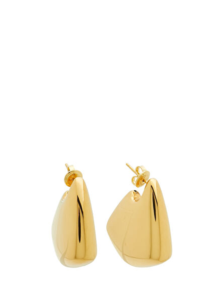 Fin Gold Women's Silver Earrings