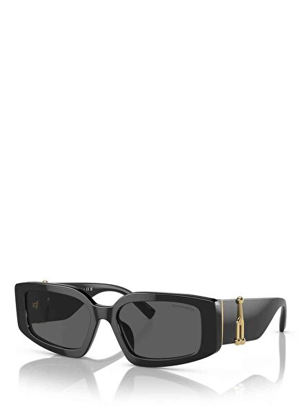 Black Women's Sunglasses