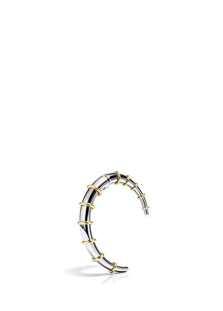 Sodium Earring Gold Plated Silver Women's Earrings