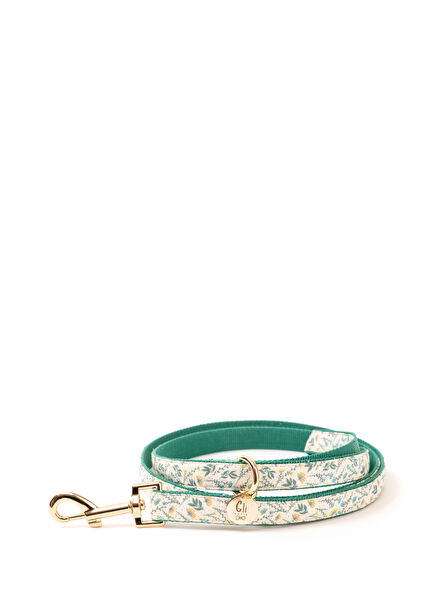 Lugo Dog Walking Leash