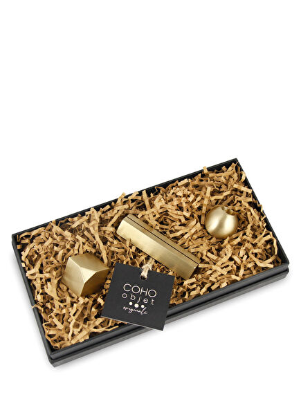 Coho Box Lux Brass Desktop Organizer Office Gift Set