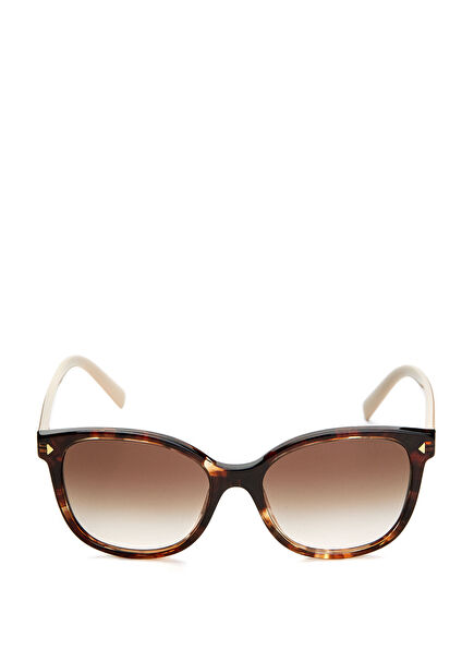 Tortoise Caramel Women's Sunglasses