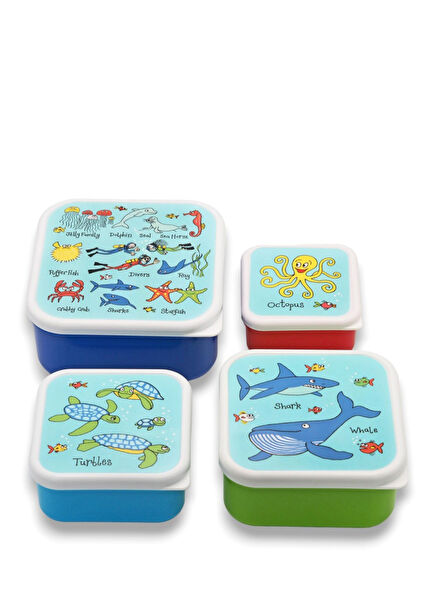 Ocean 4-Pack Nutrition Snack Box