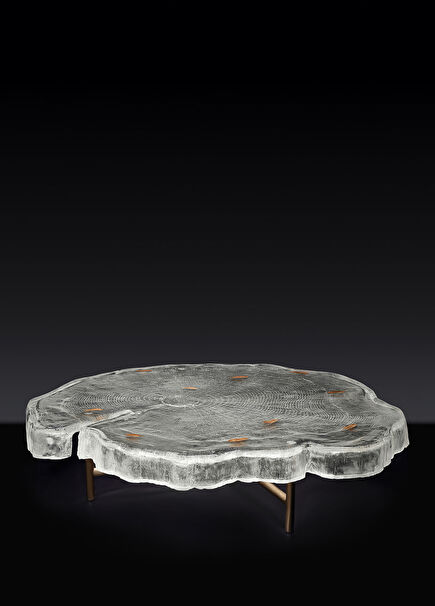 Wood Grain Coffee Table
