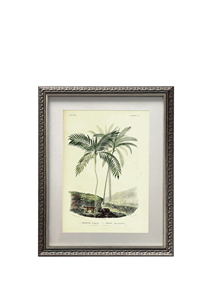 Palm Sketch No.4 Çerçeveli Baskı Tablo  