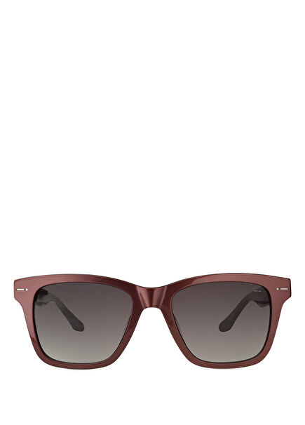 Sitaccs Burgundy Acetate Men's Sunglasses