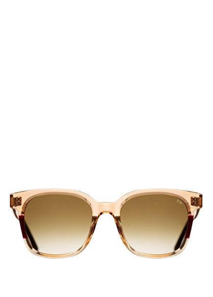 Monte Acetate Pink Transparent Women's Sunglasses