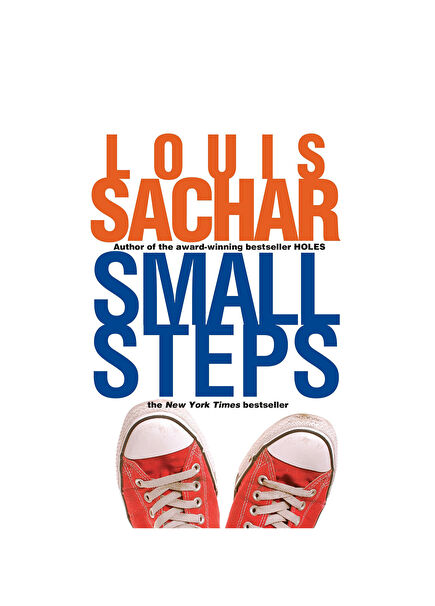 Small Steps Book