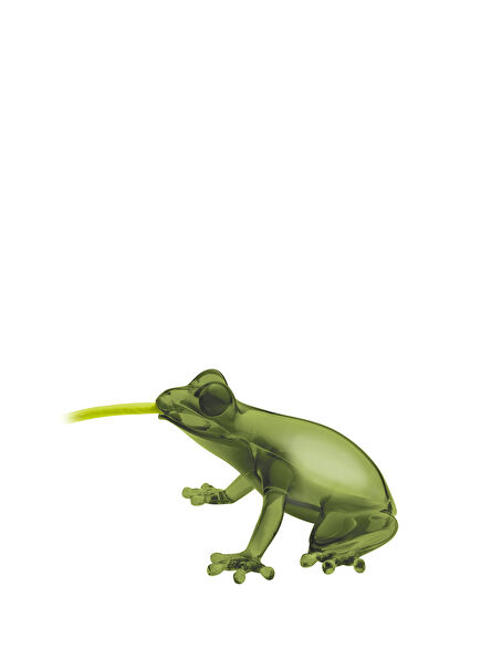 Green Frog Desktop Lighting