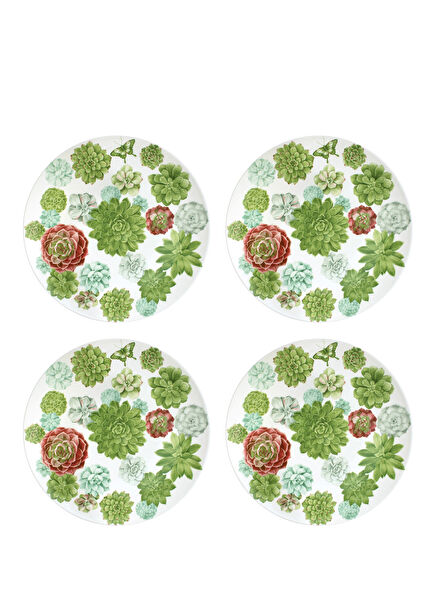 Taitu Desert Rose Desenli Fine Bone Porselen 4'lü Tabak Seti