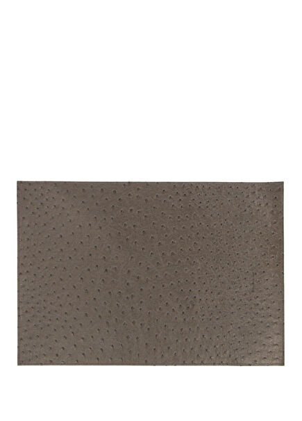 Ostrich Gray Brown Double Sided Placemat 33x44 cm