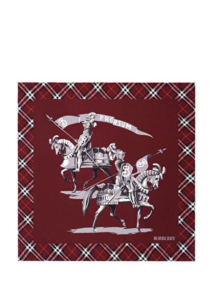 Archive Knight Silk Bordo Kadın Eşarp