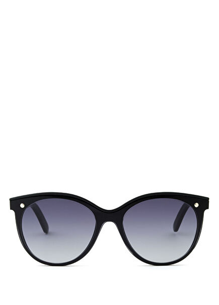 Cicci Acetate Black Women's Sunglasses