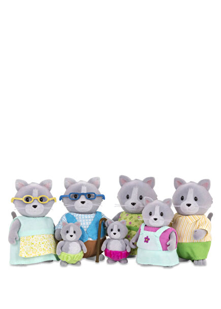 Gray Cat Family
